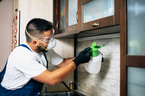 Best Pest Control Treatment  in Silver Summit, UT