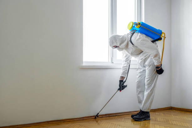 Wasp Removal Services in Silver Summit, UT