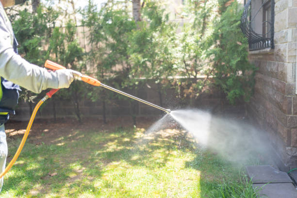 Best Best Pest Control Companies  in Silver Summit, UT
