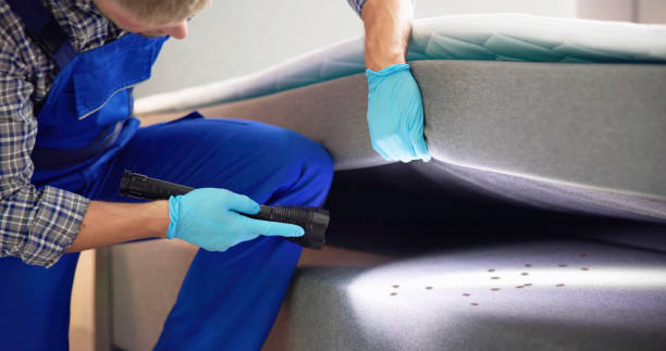 Best Termite Control Services  in Silver Summit, UT