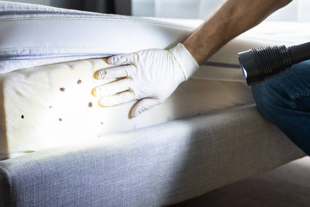 Best Best Pest Control Companies  in Silver Summit, UT