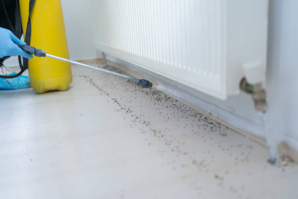 Best Bed Bug Extermination  in Silver Summit, UT